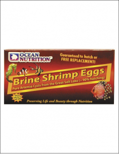 Brine Shrimp Eggs - 50g